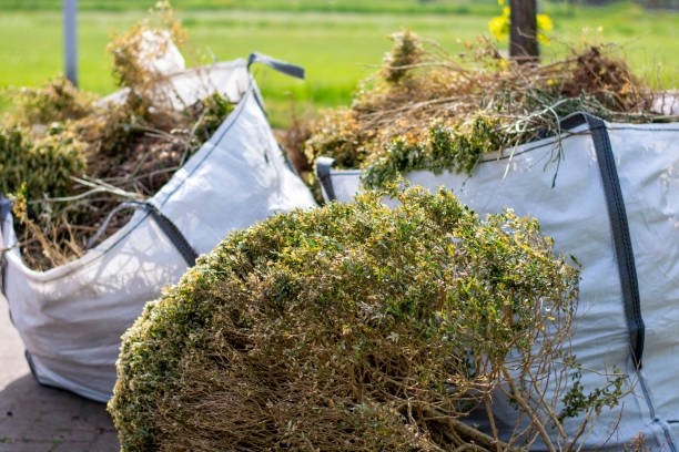 Best Hoarding Cleanup  in Pleasureville, KY