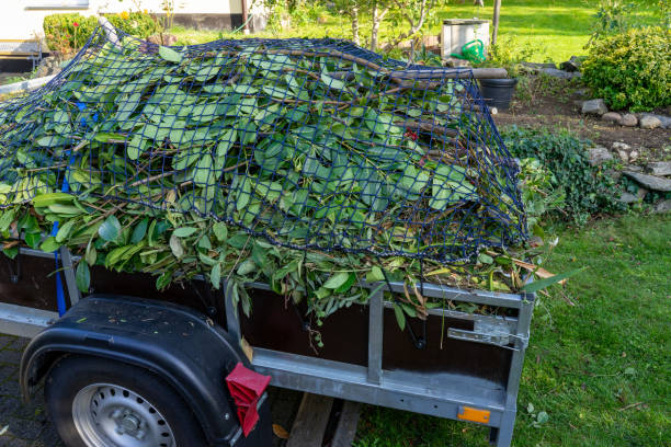 Trusted Pleasureville, KY Junk Removal Services Experts